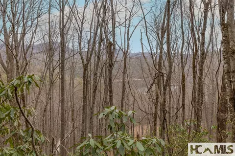 Tr A Fenley Forest Trail, Cullowhee, NC 28723 photo 19
