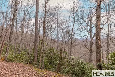 Tr A Fenley Forest Trail, Cullowhee, NC 28723 photo 16