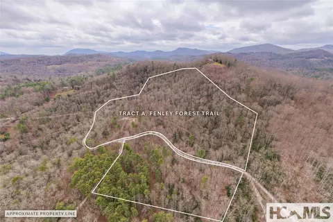 Tr A Fenley Forest Trail, Cullowhee, NC 28723 photo 26