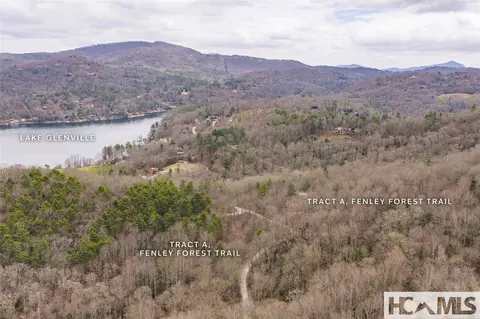 Tr A Fenley Forest Trail, Cullowhee, NC 28723 photo 34
