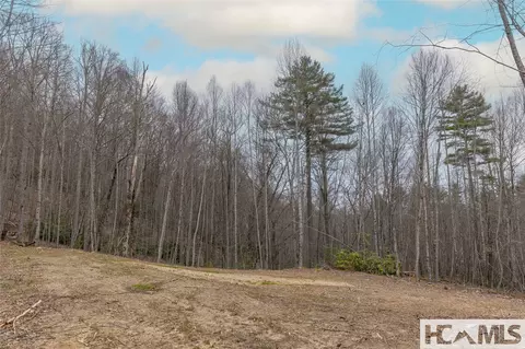 Tr A Fenley Forest Trail, Cullowhee, NC 28723 photo 9