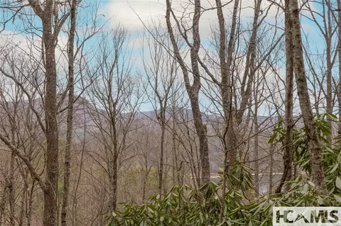 Tr A Fenley Forest Trail, Cullowhee, NC 28723 photo 18