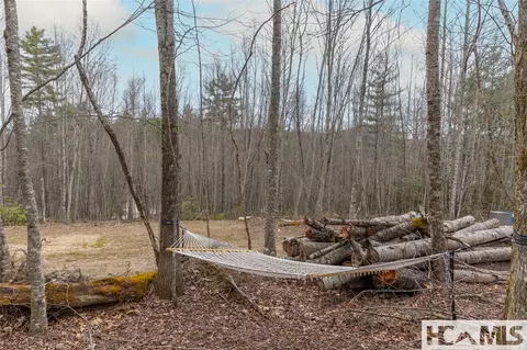 Tr A Fenley Forest Trail, Cullowhee, NC 28723 photo 10