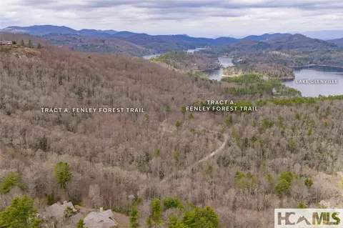 Tr A Fenley Forest Trail, Cullowhee, NC 28723 photo 29