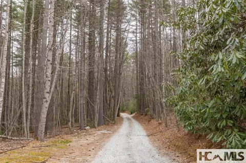 Tr A Fenley Forest Trail, Cullowhee, NC 28723 photo 4