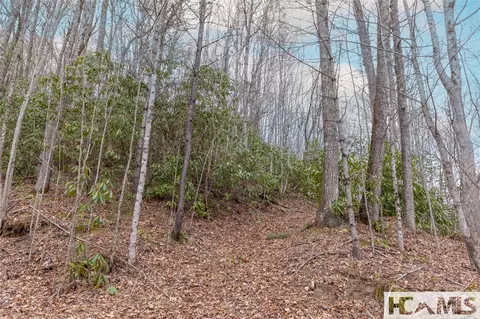 Tr A Fenley Forest Trail, Cullowhee, NC 28723 photo 22