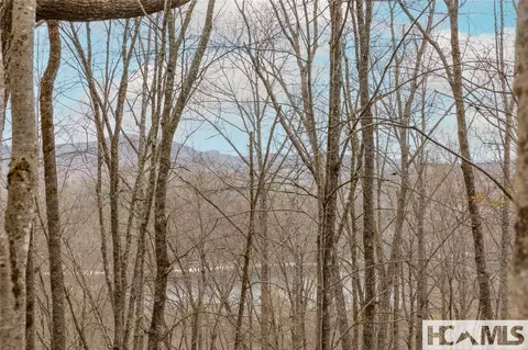 Tr A Fenley Forest Trail, Cullowhee, NC 28723 photo 13