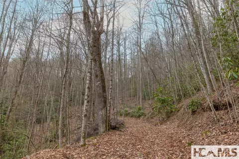 Tr A Fenley Forest Trail, Cullowhee, NC 28723 photo 11