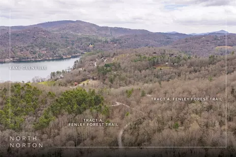 Tr A Fenley Forest Trail, Cullowhee, NC 28723 photo 3