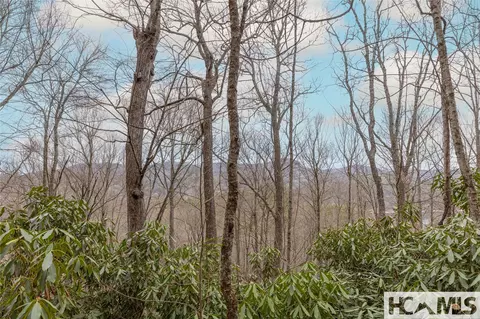 Tr A Fenley Forest Trail, Cullowhee, NC 28723 photo 17