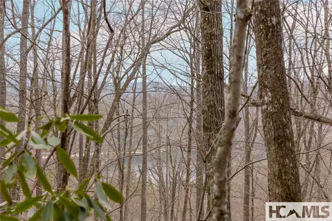 Tr A Fenley Forest Trail, Cullowhee, NC 28723 photo 15