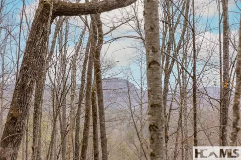 Tr A Fenley Forest Trail, Cullowhee, NC 28723 photo 14