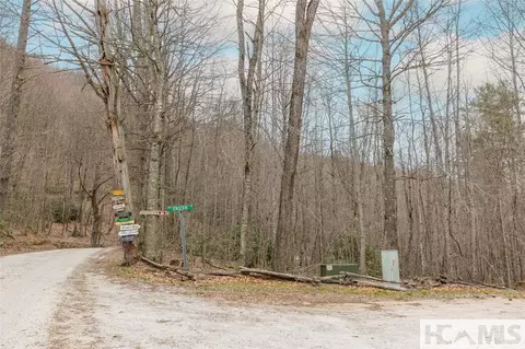 Tr A Fenley Forest Trail, Cullowhee, NC 28723 photo 20
