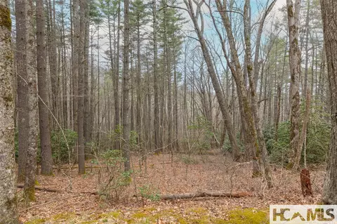 Tr A Fenley Forest Trail, Cullowhee, NC 28723 photo 21