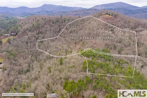 Tr A Fenley Forest Trail, Cullowhee, NC 28723 photo 25