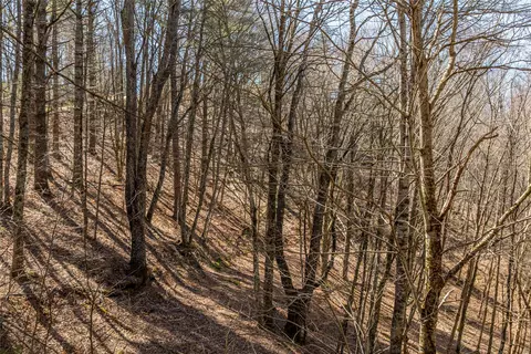lot10 Channel View Dr, Cullowhee, NC 28723 photo 12
