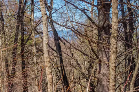 lot10 Channel View Dr, Cullowhee, NC 28723 photo 9