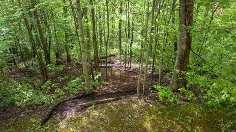 59 Waterdance Dr, Cullowhee, NC 28723 photo 3