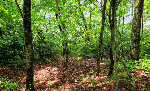 lot2 Eagle Ridge Rd, Sapphire, NC 28774 photo 3