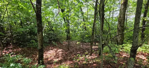 lot2 Eagle Ridge Rd, Sapphire, NC 28774 photo 4