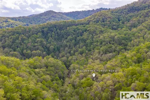 Other - 1701 Cullowhee Forest Rd, Cullowhee, NC 28723 photo 22 of 26