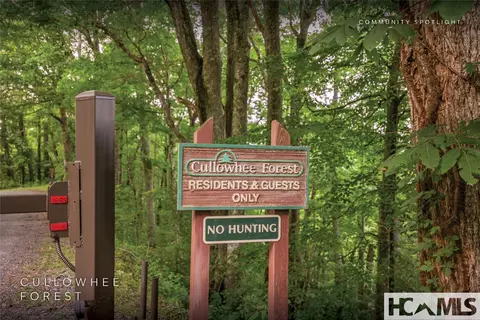 View/Area - 1701 Cullowhee Forest Rd, Cullowhee, NC 28723 photo 4 of 12