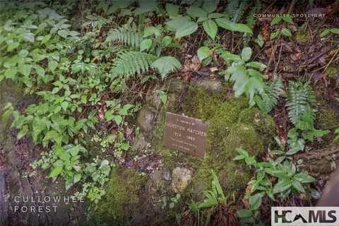 Other - 1701 Cullowhee Forest Rd, Cullowhee, NC 28723 photo 24 of 26