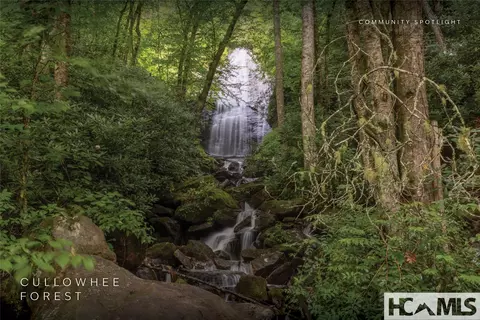 View/Area - 1701 Cullowhee Forest Rd, Cullowhee, NC 28723 photo 11 of 12