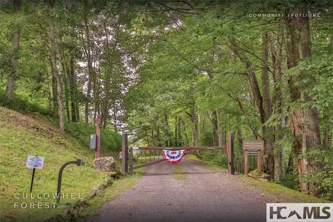 View/Area - 1701 Cullowhee Forest Rd, Cullowhee, NC 28723 photo 7 of 12