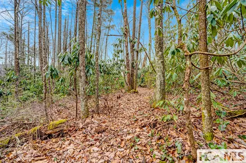 lot21 Hardscrabble Rdg, Highlands, NC 28741 photo 4