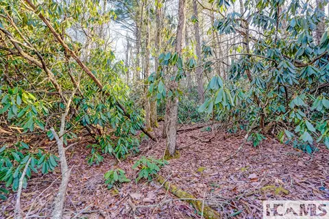 lot21 Hardscrabble Rdg, Highlands, NC 28741 photo 8