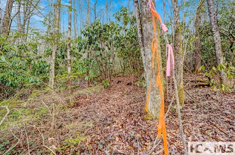 lot21 Hardscrabble Rdg, Highlands, NC 28741 photo 16