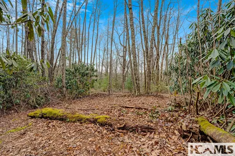 lot21 Hardscrabble Rdg, Highlands, NC 28741 photo 7