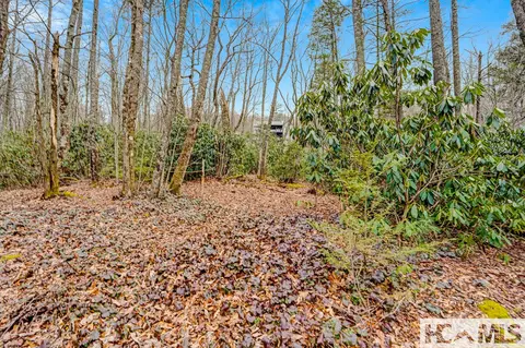 lot21 Hardscrabble Rdg, Highlands, NC 28741 photo 10