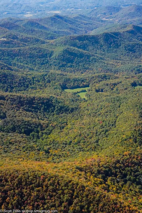 1575 Lloyd Cove Rd, Scaly Mountain, NC 28775 photo 10