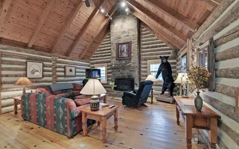 1575 Lloyd Cove Rd, Scaly Mountain, NC 28775 photo 16