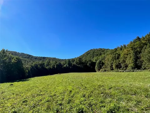 1575 Lloyd Cove Rd, Scaly Mountain, NC 28775 photo 6