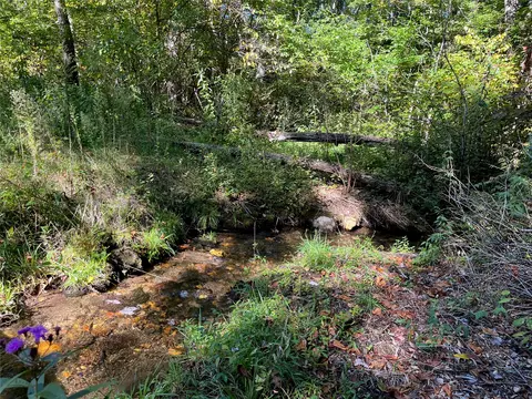 1575 Lloyd Cove Rd, Scaly Mountain, NC 28775 photo 14