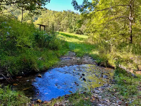 1575 Lloyd Cove Rd, Scaly Mountain, NC 28775 photo 9