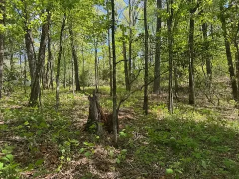 tbd Bowery Rd, Highlands, NC 28741 photo 2