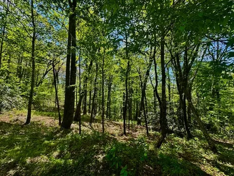 tbd Bowery Rd, Highlands, NC 28741 photo 8