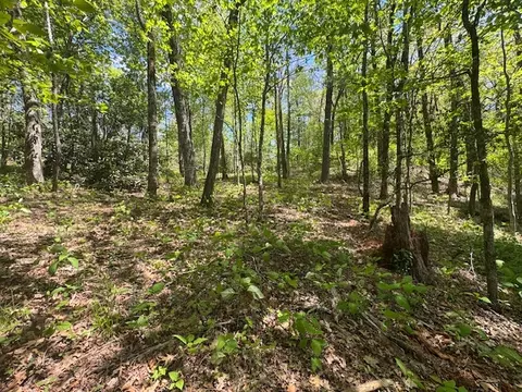 tbd Bowery Rd, Highlands, NC 28741 photo 6