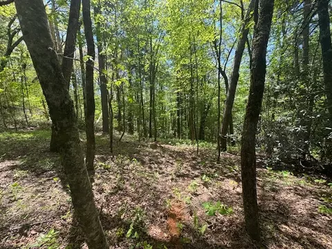 tbd Bowery Rd, Highlands, NC 28741 photo 4