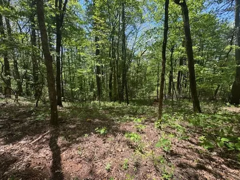 tbd Bowery Rd, Highlands, NC 28741 photo 3