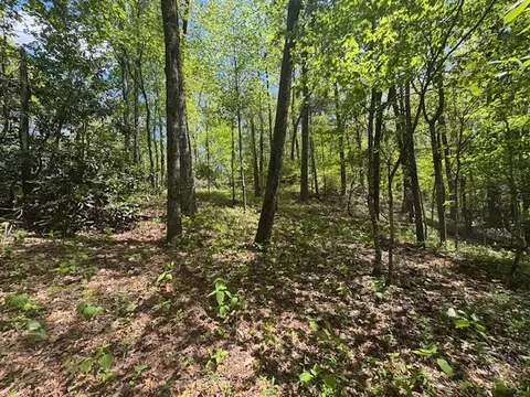 tbd Bowery Rd, Highlands, NC 28741 photo 5