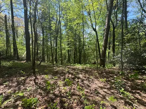 tbd Bowery Rd, Highlands, NC 28741 photo 7