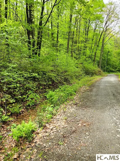 85 Wolf Knob Rd, Cullowhee, NC 28723