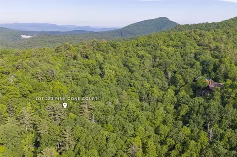 283 Pine Cone Ct, Sapphire, NC 28774 photo 12