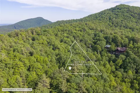283 Pine Cone Ct, Sapphire, NC 28774 photo 11