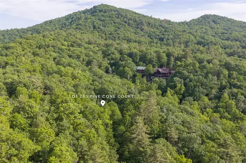 283 Pine Cone Ct, Sapphire, NC 28774 photo 10